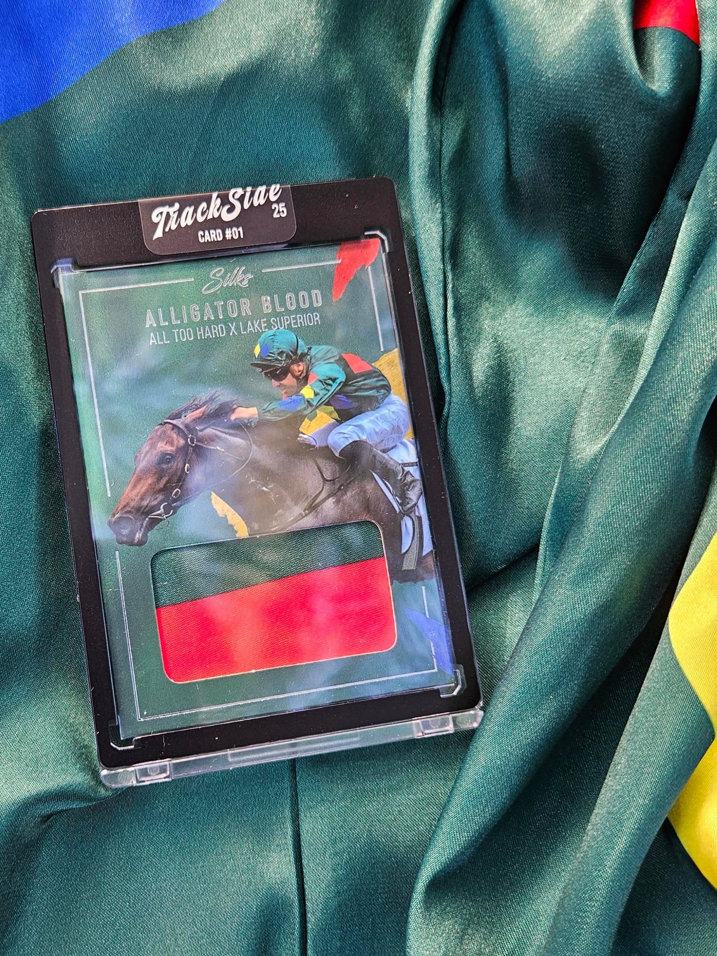 Alligator Blood Race Worn Silks relic card