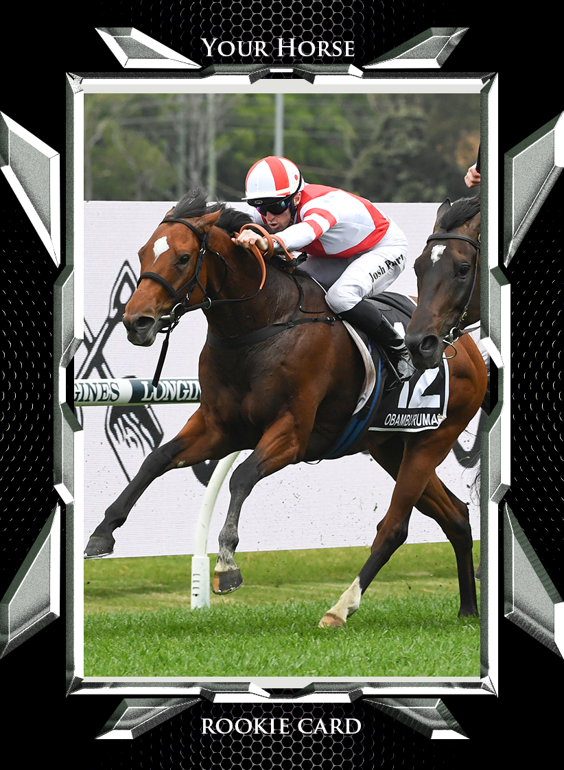 Custom Pedigree cards (portrait)