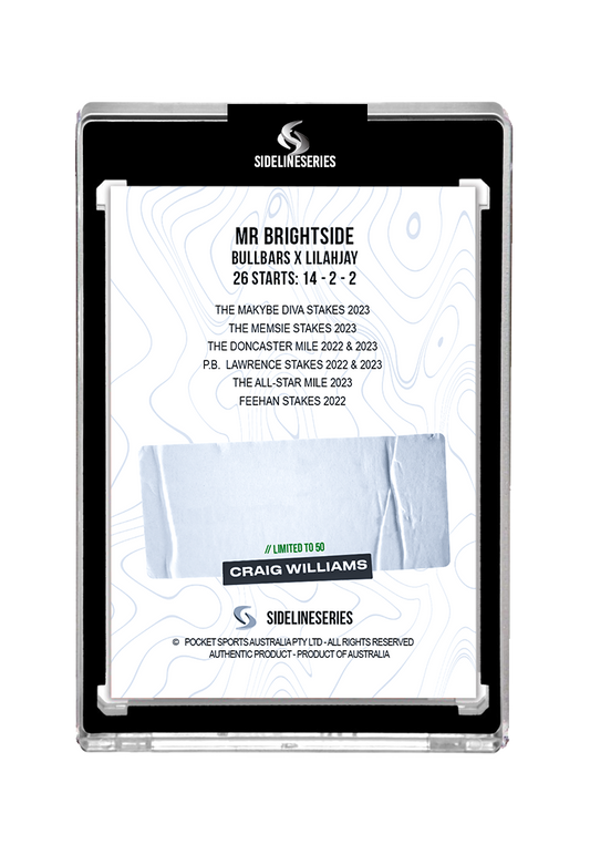 Mr Brightside X Craig Williams 2