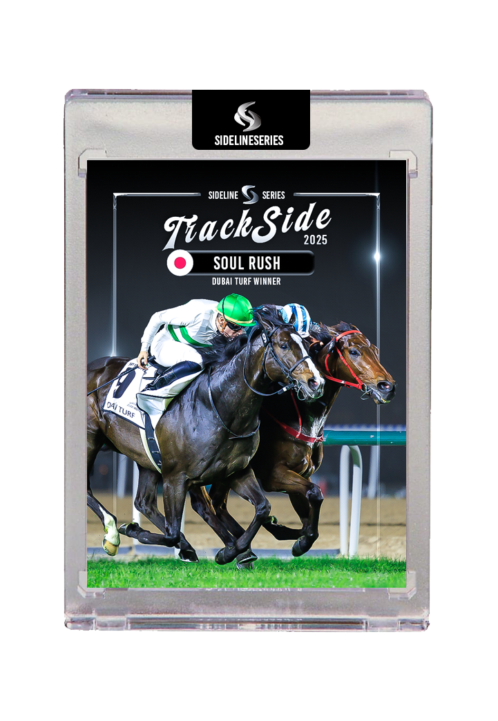 Trackside 25 DUBAI WORLD CUP - Soul Rush Dubai World Turf winner