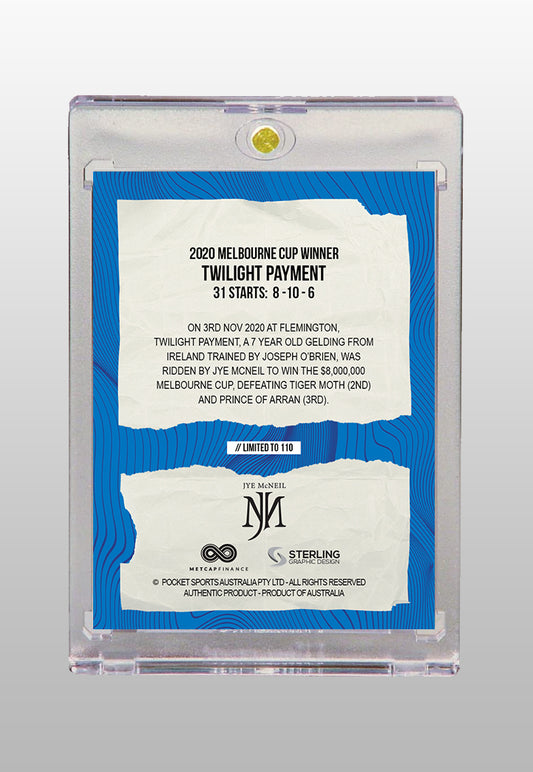 Twilight Payment 2020 Melbourne Cup winner with Jye McNeil