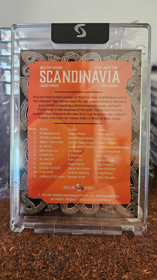 Scandinavia Ascot Gold Cup Trading Card