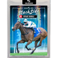 Trackside 25 HONG KONG- VOYAGE BUBBLE Triple Crown winner!
