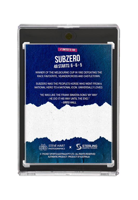 Subzero x Greg Hall - AUTO edition