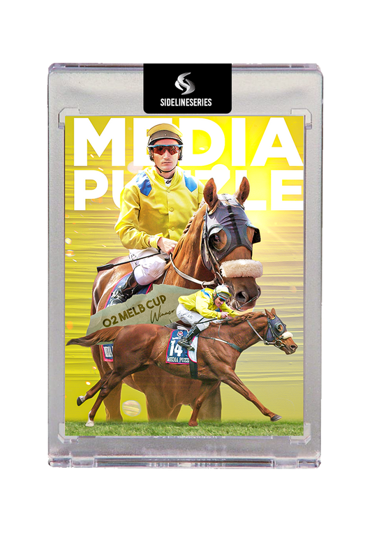 2002 Melb Cup winner Media Puzzle