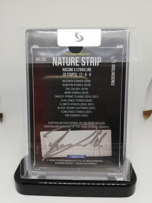NATURE STRIP SILVER AUTO edition - includes free stand base