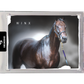 WINX II Holofoil card
